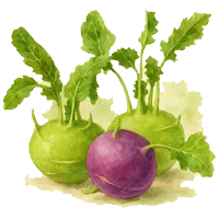 Алабаш