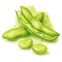 Бакла