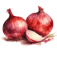 Лук