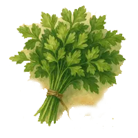 Магданоз