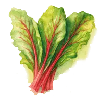 Манголд