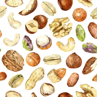 Ядки