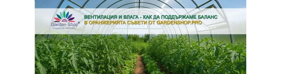 Вентилация и влага – как да поддържаме баланс в оранжерията