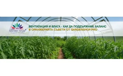Вентилация и влага – как да поддържаме баланс в оранжерията