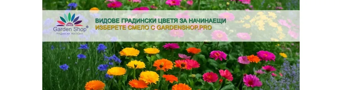 Видове градински цветя за начинаещи – как да започнете с увереност и радост