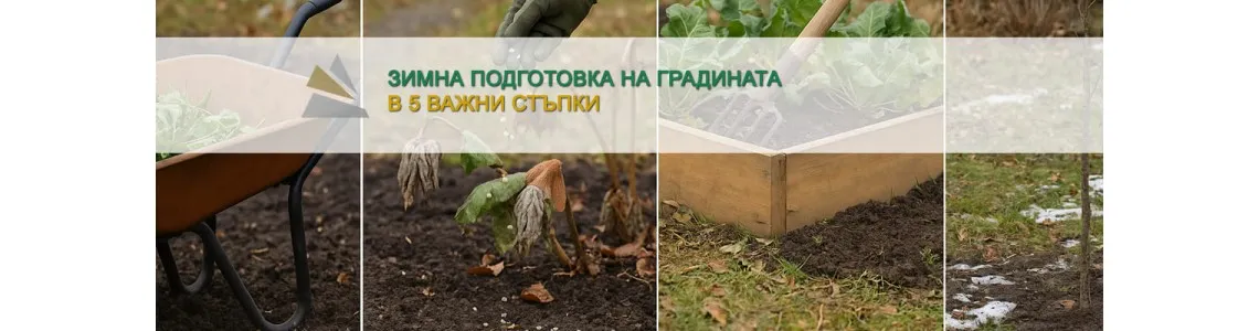 Зимна подготовка на градината в 5 важни стъпки