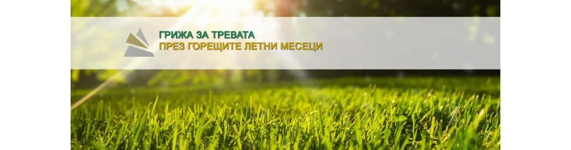 Грижа за тревата през горещите месеци