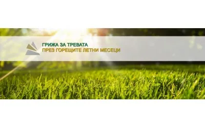 Грижа за тревата през горещите месеци