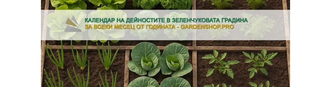 Календар на дейностите в зеленчуковата градина за всеки месец от годината