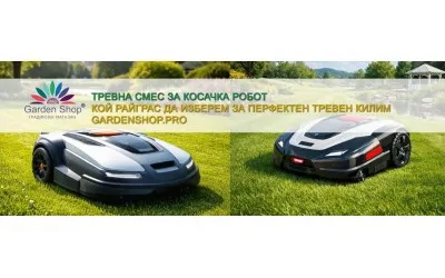 Тревна смес за косачка робот – кой райграс да изберем за идеалния тревен килим