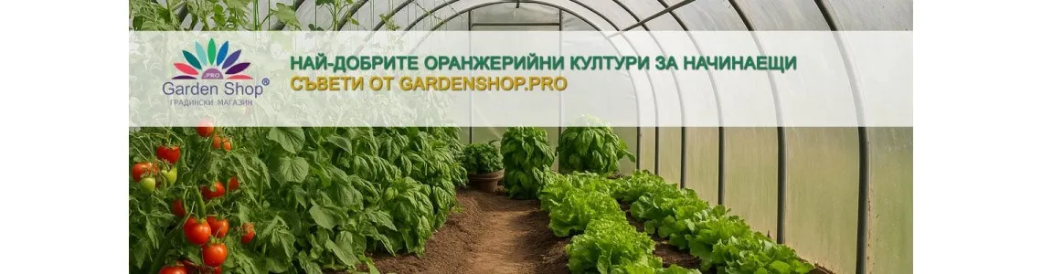Най-добрите оранжерийни култури за начинаещи