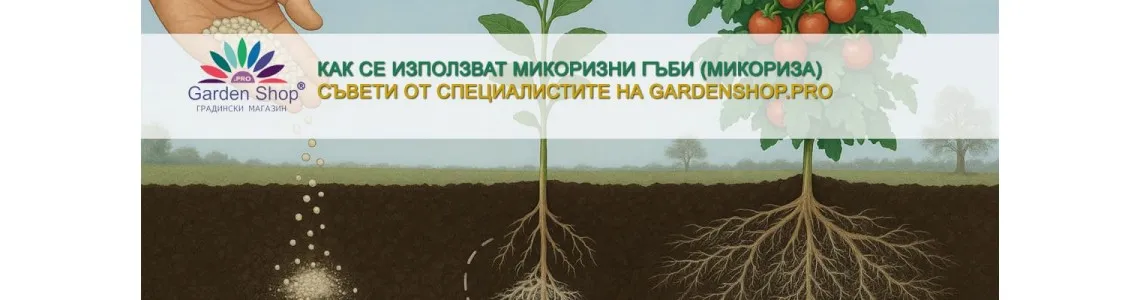 Как се използват микоризни гъби (микориза) при отглеждане на всякакви растения