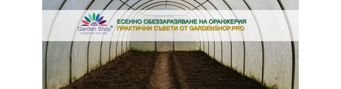 Есенно обеззаразяване на оранжерия