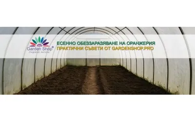 Есенно обеззаразяване на оранжерия