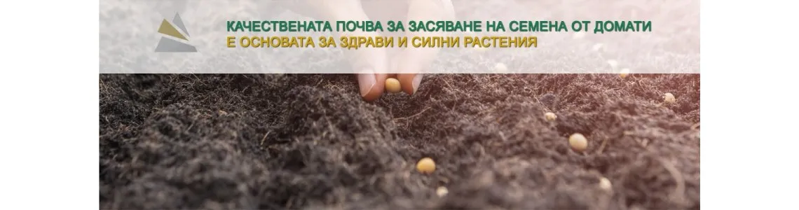 Почва за засяване на семена от домати – избор, подготовка и полезни съвети