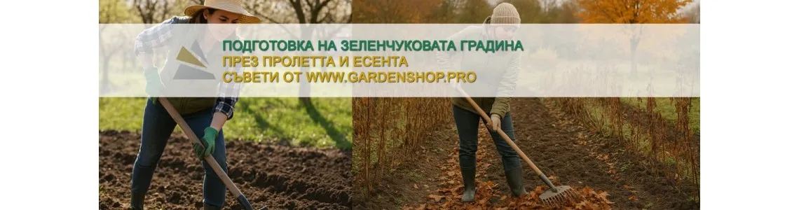Подготовка на зеленчуковата градина през пролетта и есента