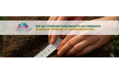 Какви са плюсовете от използването на семена на лента?