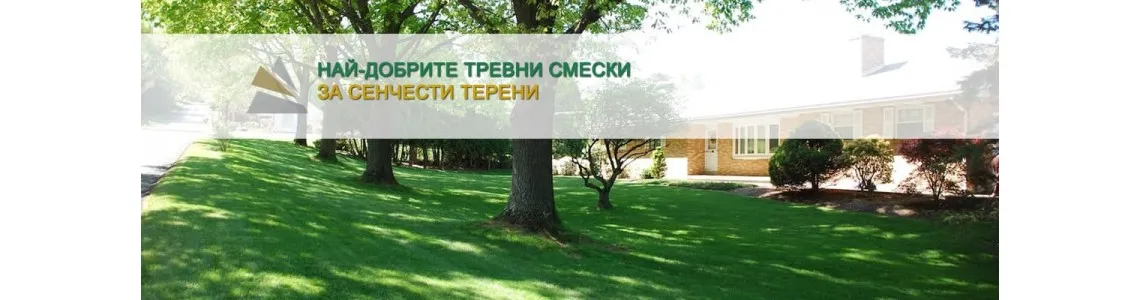 Най-добрите тревни смески за сенчести терени