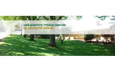 Най-добрите тревни смески за сенчести терени
