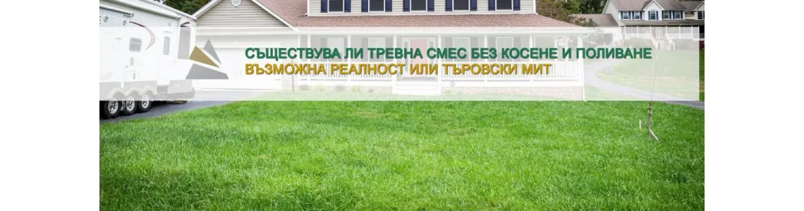 Съществува ли тревна смеска без косене и поливане?