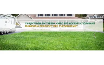 Съществува ли тревна смеска без косене и поливане?