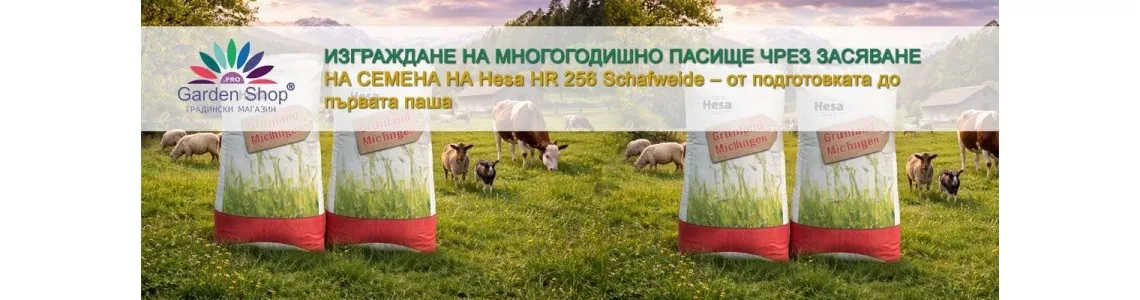 Изграждане на многогодишно пасище чрез засяване на семена Hesa HR 256 Schafweide – от подготовката до първата паша