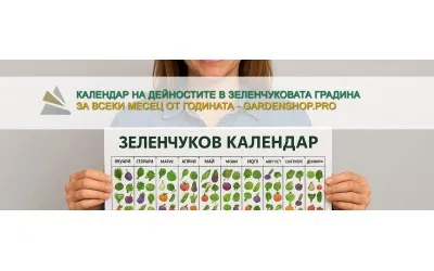 Зеленчуков календар – кога какви култури да засеем през годината