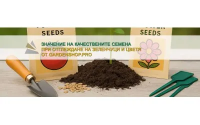 Значението на качествените семена при отглеждане на зеленчуци и цветя