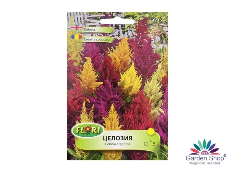 Семена на Целозия (Celosia argentea) - микс от огнени цветове Celosia argentea