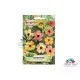 Микс от семена на увивната Тунбeргия (Thunbergia alata)