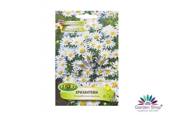 Семена на цвете бяла Хризантема (Маргаритка, Chrysanthemum maximum)