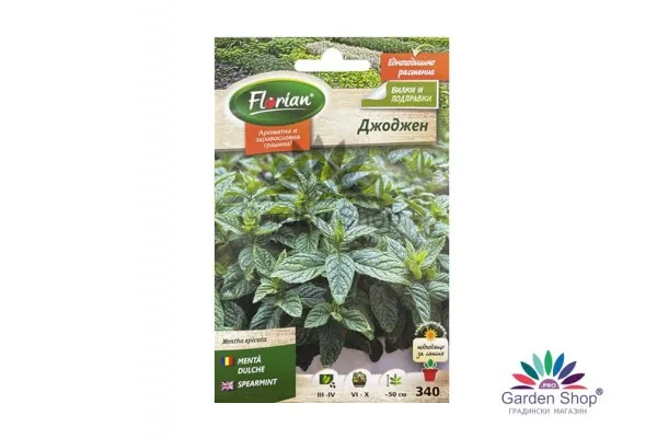 Семена на ароматен Джоджен (Mentha spicata) - незаменим в кухнята от Флориян