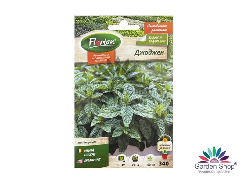 Семена на ароматен Джоджен (Mentha spicata) - незаменим в кухнята от Флориян
