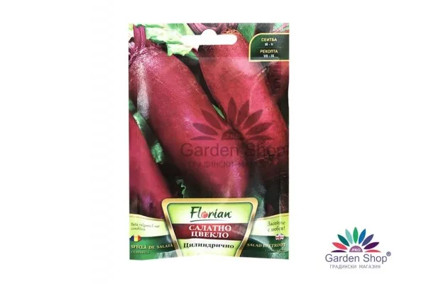 Семена на Червено Цилиндрично цвекло салатно – вкусно и полезно на салата с моркови представени чрез Севън Сийдс