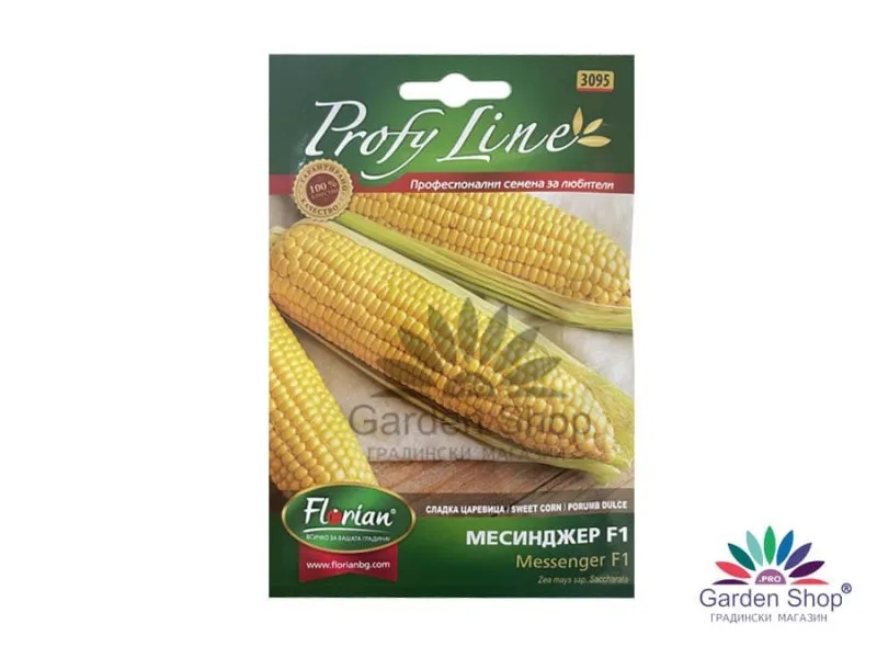 Сладка царевица Месинджър F1 (Messenger F1) семена Profy Line – стабилен добив и плътни кочани до върха