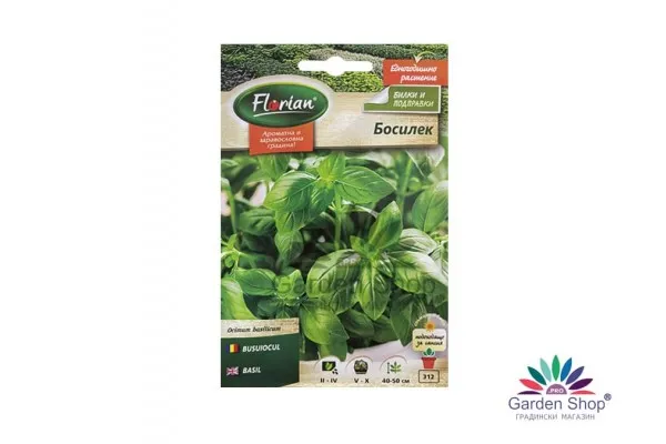 Семена на класически босилек (Ocimum basilicum) 