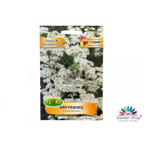 Семена на бял равнец - Achillea millefolium - многогодишно растение с дълъг цъфтеж и ароматна зеленина