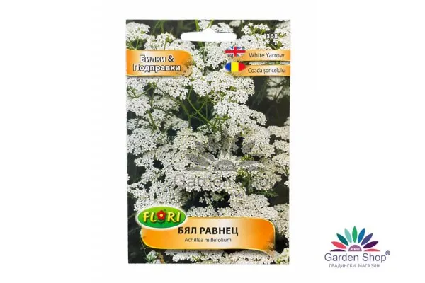 Семена на бял равнец - Achillea millefolium - многогодишно растение с дълъг цъфтеж и ароматна зеленина
