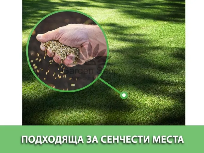 Декоративна тревна смес за сянка Hesa - Австрия