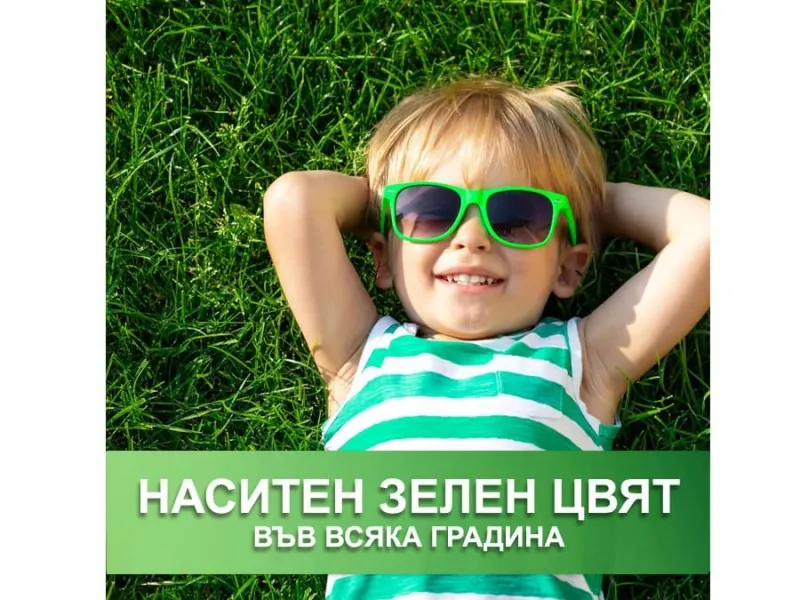 Универсална тревна смеска за слънце и сянка Hesa – едно решение за целия двор
