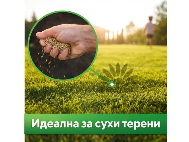 Наситено зелена сухоустойчива тревна смеска Hesa - Австрия