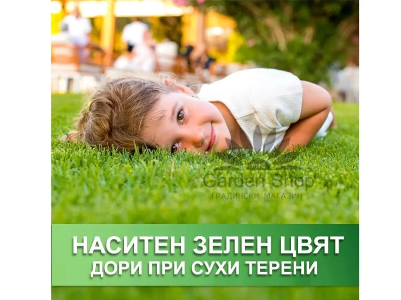 Наситено зелена сухоустойчива тревна смеска Hesa - Австрия