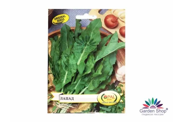 Семена на лапад (Лопуш, Rumex patientia) – вкусният зеленолистен зеленчук представен от Севън Сийдс