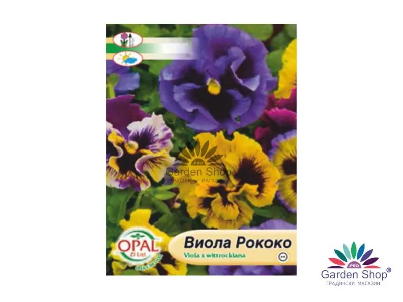 Семена на Виола Рококо (къдрава теменуга) - грация и лукс в градината