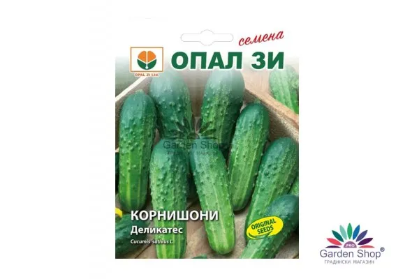 Семена на супер вкусни корнишони Деликатес сорт за салати и консервиране