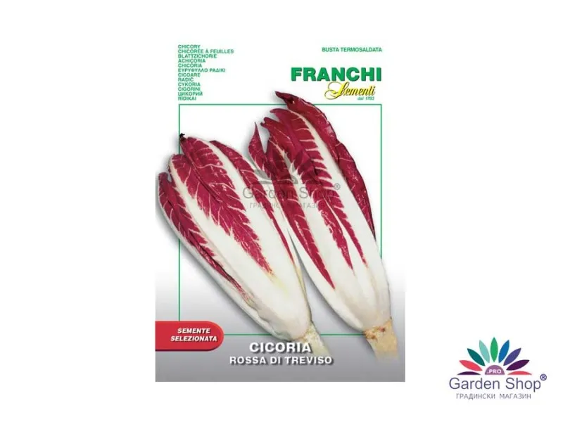 Семена на цикория продълговата Red Treviso - Cyihorium intybus
