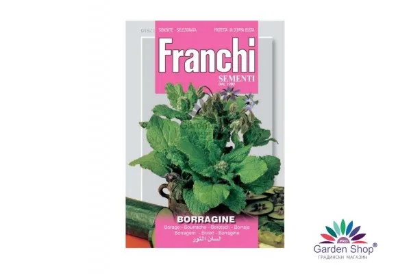 Семена на Пореч (Borago officinalis) - Краставична трева с изненадващи качества