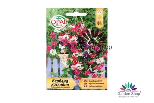 Семена на каскадна Вербена (Verbena hybrida pendula) - микс от изящни цветове
