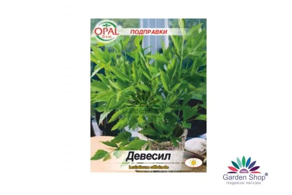 Семена на ароматна подправка Девисил - Levisticum officinale - Девесил