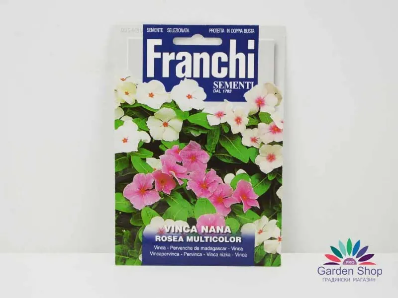 Семена на градинско цвете Винка (Катарантус) - Catharanthus roseus